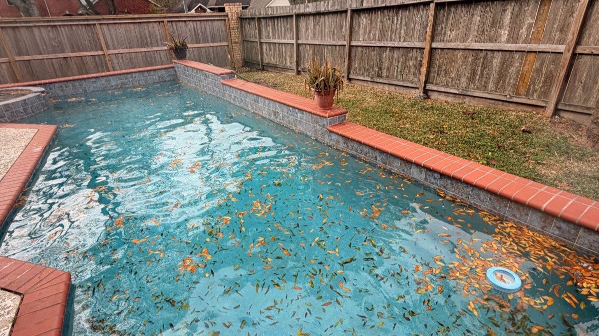 How to Keep a Pool Clean During Houston Pollen Season