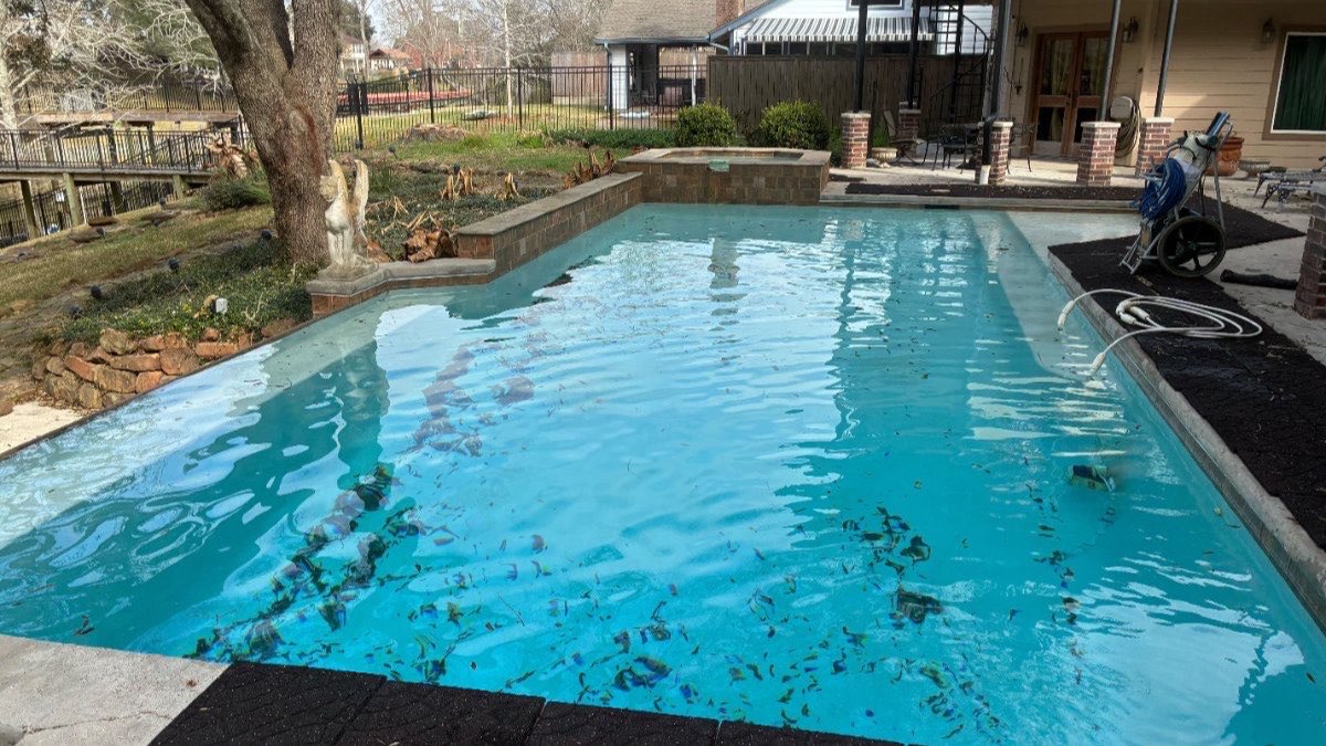 How Often Should a Pool Be Cleaned in Texas?